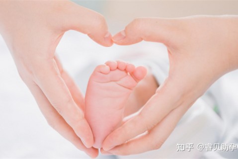 夏天无锡捐卵宝宝发烧 莫要急